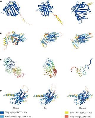 The role of lipocalin 2 in brain injury and recovery after ischemic and hemorrhagic stroke